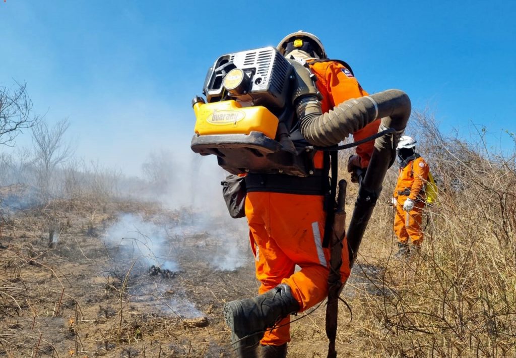 Programa Bahia Sem Fogo reforça combate aos incêndios florestais no estado