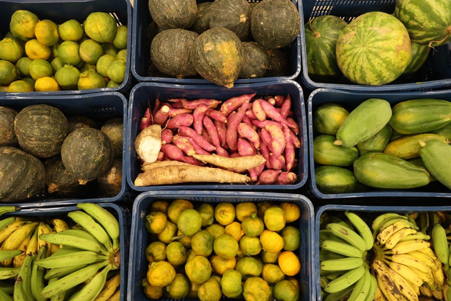 Agricultura familiar do extremo sul vai fornecer alimentos para o novo Hospital Estadual Costa das Baleias