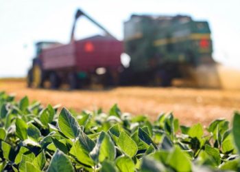 Agronegócio Lidera Exportações Baianas em 2024