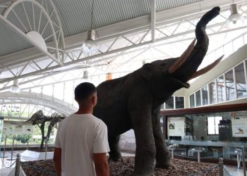 Férias no Museu: MGB tem horário de funcionamento estendido durante a semana, no mês de janeiro