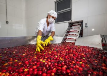 Impactos positivos de vendas da agricultura familiar para programas institucionais são destacados em estudo