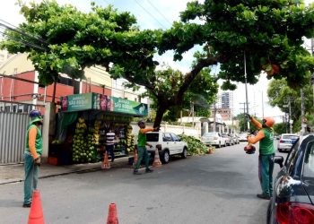 Seman intensifica poda de árvores nos circuitos do Carnaval