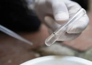 Dengue cresce nas zonas norte e leste da cidade de São Paulo