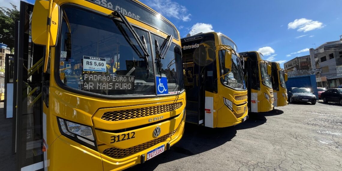 Ônibus: Salvador ganhará 13 novas linhas e reativará 5 em 2025