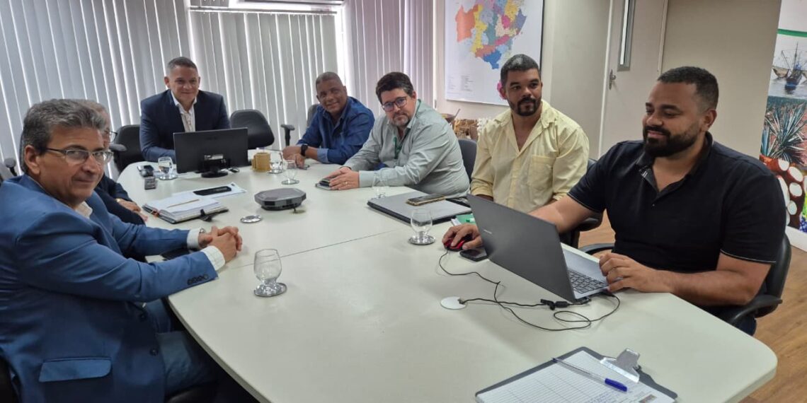 Bahia lidera produção de sisal e define novas estratégias para o setor