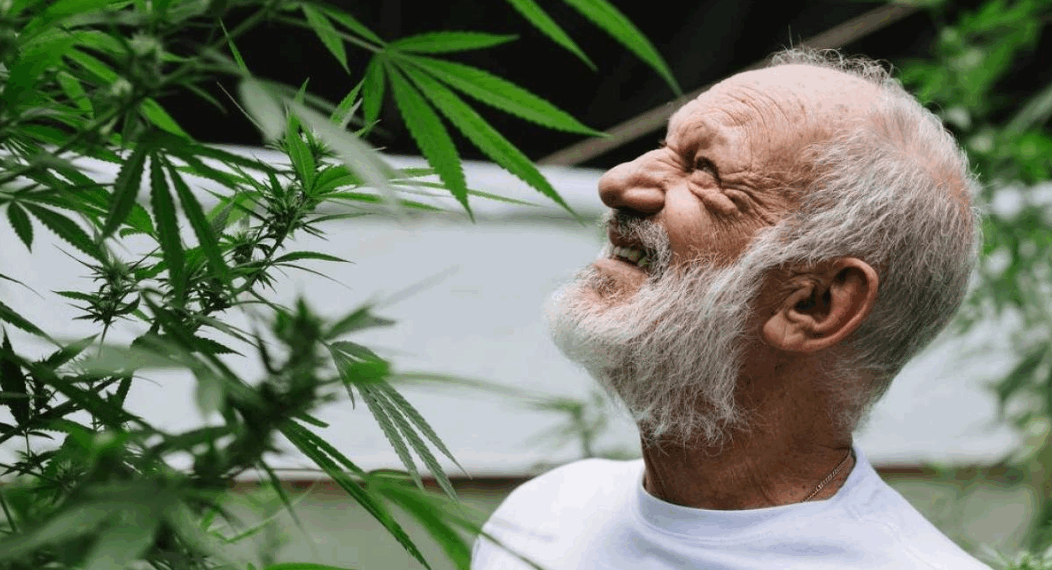 Polícia investiga ex-ator da Globo por plantação de maconha