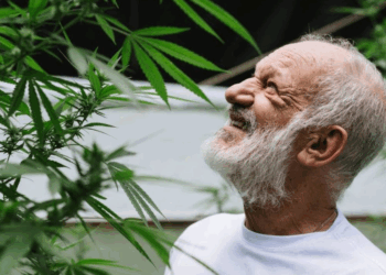 Polícia investiga ex-ator da Globo por plantação de maconha