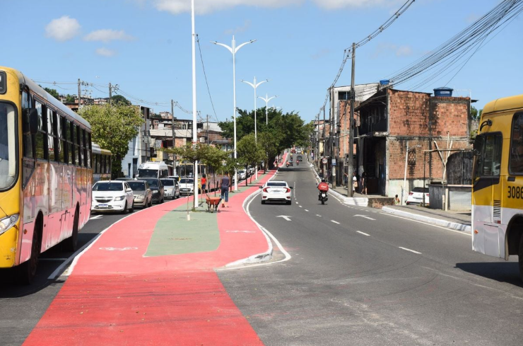Avenida Afrânio Peixoto registra maior número de atropelamentos na cidade