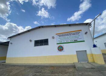 Agroindústria impulsiona apicultura e renda no Semiárido baiano