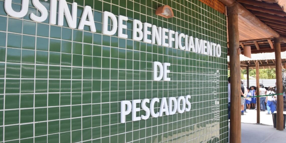 Nova usina impulsiona pesca artesanal na Baía de Todos-os-Santos