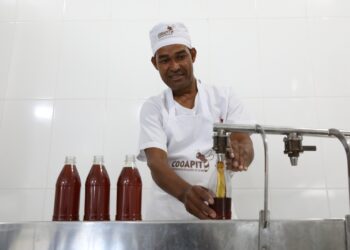 O mel que adoça o sertão e fortalece o desenvolvimento rural no Território do Sisal