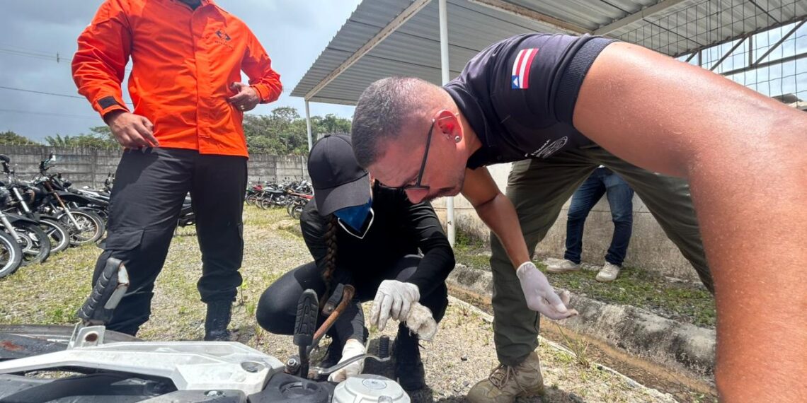 Operação Ressonância: 12 veículos com restrição apreendidos