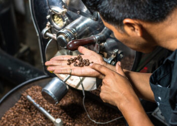 Bahia estrutura produção de café rumo ao mercado mundial