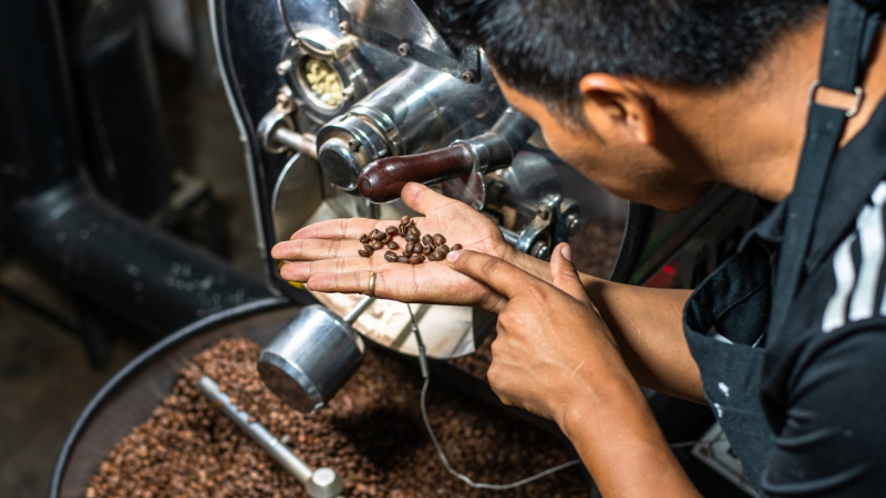 Bahia estrutura produção de café rumo ao mercado mundial