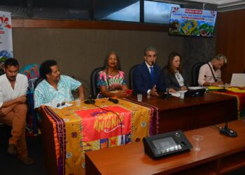 Carnaval do Santo Antônio é tema de audiência pública na Assembleia