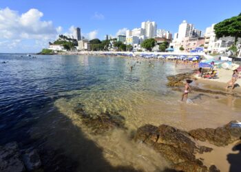 Prefeitura avança em projeto modelo de boias de proteção no Porto da Barra