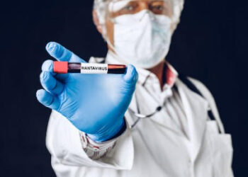 Hantavírus: diagnóstico precoce ajuda a diferenciar doença de outras infecções febris e ampliar cuidado adequado