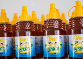 Produtores da agricultura familiar são premiados no Concurso da Qualidade do Mel