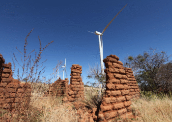 Dia Mundial do Vento destaca liderança da Bahia na geração de energia eólica