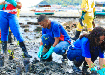 Alunos da rede estadual realizam plantio de manguezal em área do VLT de Salvador