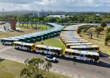 Novos ônibus entram em circulação em Salvador; veja as linhas atendidas