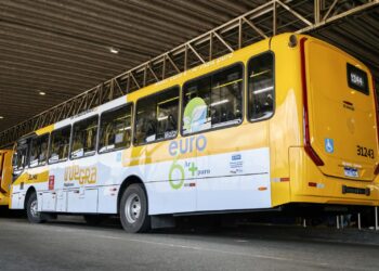 Transporte em Salvador será gratuito no primeiro turno das eleições