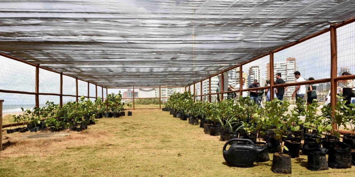 Salvador supera marca de 15 mil mudas plantadas em 2026
