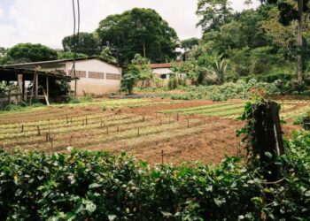 Incra/BA anuncia assentamento no Extremo Sul para 178 famílias