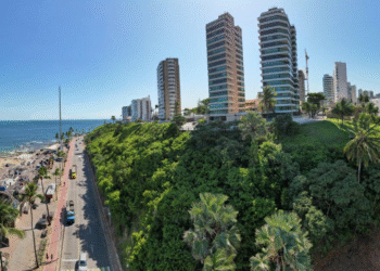 Observatório do PDDU de Salvador defende dispositivo no plano diretor para blindar áreas verdes públicas