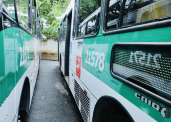 Nova lei permite que mulheres e idosos escolham onde descer do ônibus entre 20h e 5h