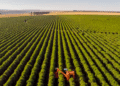 Mercado de capitais chega a 33% do crédito do agro, mas CRA recua