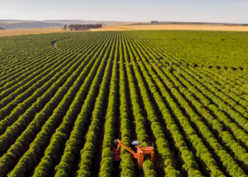 Mercado de capitais chega a 33% do crédito do agro, mas CRA recua