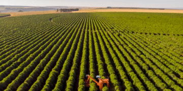 Mercado de capitais chega a 33% do crédito do agro, mas CRA recua