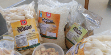 Agroindústria familiar amplia capacidade de beneficiamento da mandioca em Belo Campo