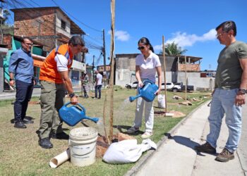 Prefeitura encerra Operação Plantio Chuva com mais de 10 mil mudas em Salvador
