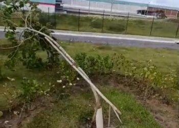 Prefeitura de Lauro repudia atos de vandalismo em projeto ambiental
