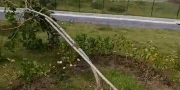 Prefeitura de Lauro repudia atos de vandalismo em projeto ambiental