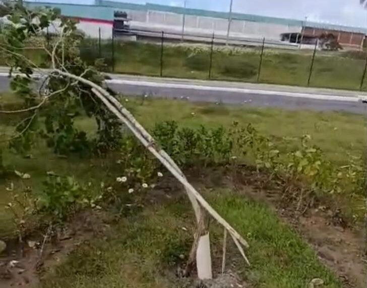 Prefeitura de Lauro repudia atos de vandalismo em projeto ambiental