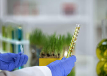 Braskem reforça estratégia global em renováveis com desenvolvimento de tecnologia para bioacetona