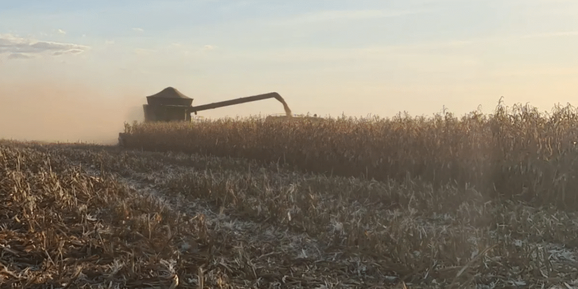 Crédito mais caro leva produtores do agro a buscar operações estruturadas