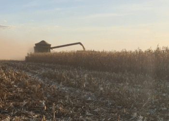 Crédito mais caro leva produtores do agro a buscar operações estruturadas