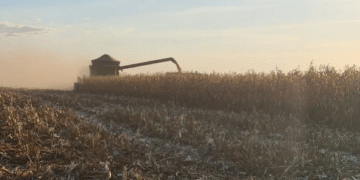Crédito mais caro leva produtores do agro a buscar operações estruturadas