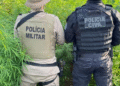 PC e PM erradicam 22 mil pés de maconha em Campo Formoso