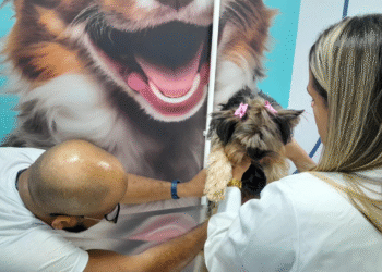 Unijorge promove ação social do Outubro Rosa Pet neste sábado