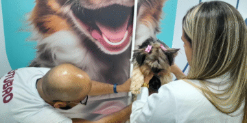 Unijorge promove ação social do Outubro Rosa Pet neste sábado