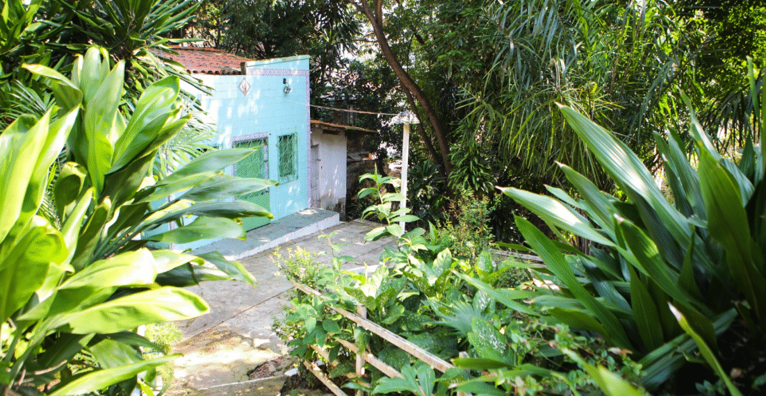 Programa Baobá mantém cadastro aberto para terreiros de matriz africana em Salvador
