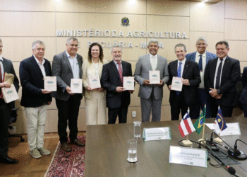 Acordo abre caminho para previsão de safra de cacau na Bahia