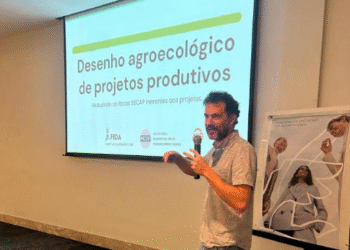 Workshop capacita equipes de projetos ambientais e climáticos