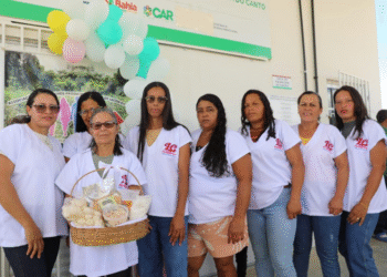 Resultado dos editais Galinha Caipira da Bahia e Raízes da Bahia prevê mais de R$ 73 milhões em investimentos