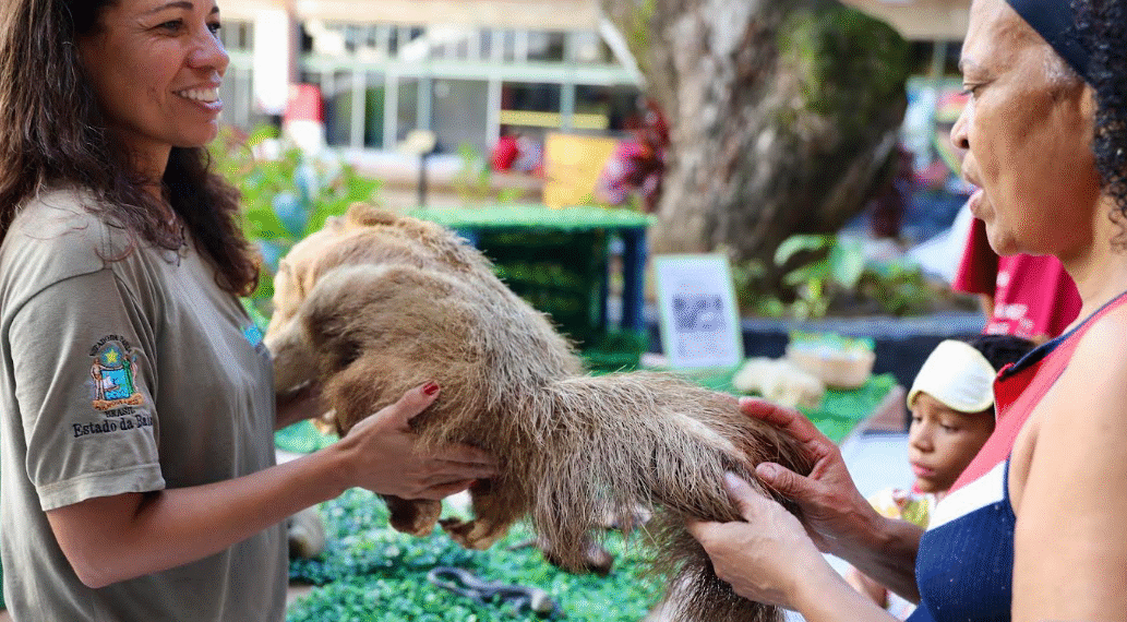 Ações educativas do Zoo Bahia alcançam cerca de 12 mil participações em 2026